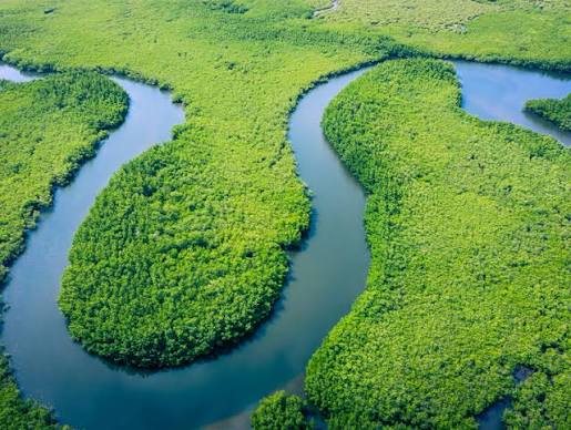 Rivière amazonienne vue du ciel