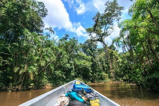 Progression en pirogue sur une rivière amazonienne