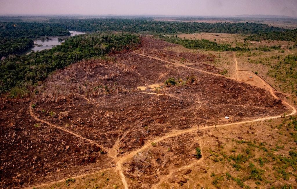 Déforestation
