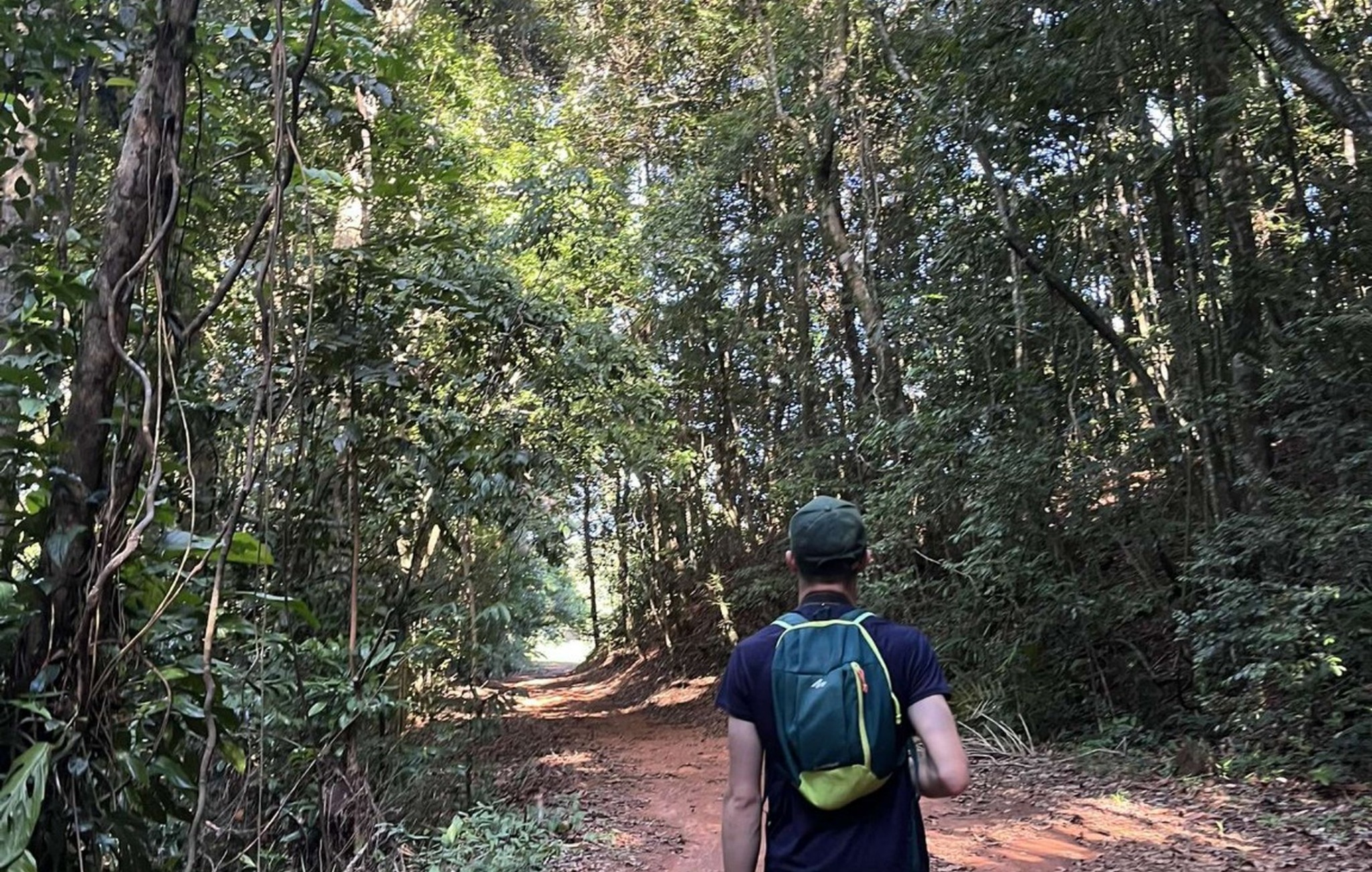 Marche en forêt