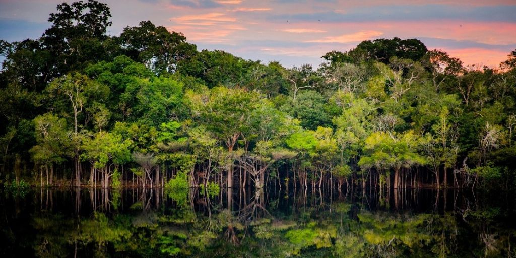 Rivière amazonienne