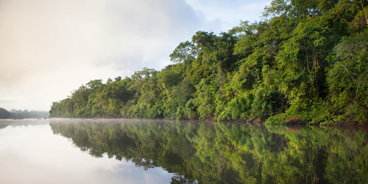 Paysage fluvial