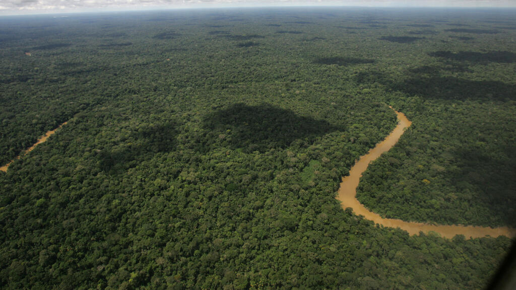 Forêt amazonienne vue du ciel