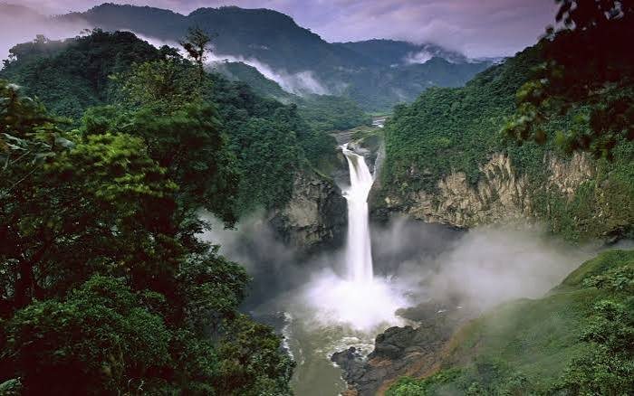 Grande cascade en forêt tropicale